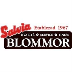 Salvia Blommor
