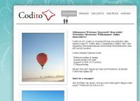 Codito Consulting