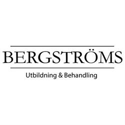 Bergströms Kunskapsföretag AB