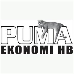 Puma Ekonomi Hb