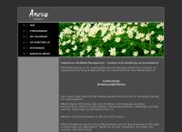 Anevo Management