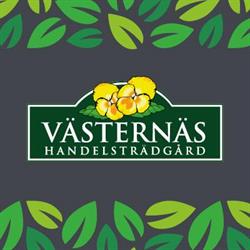Västernäs Handelsträdgård AB