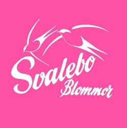 Svalebo Blommor