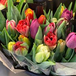 Gärdets Blomsterhandel