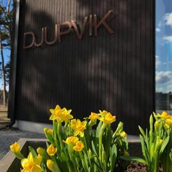 Djupvik Resort Hb