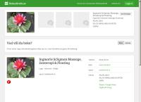 Schyman Ingmarie Massage & Zonterapi