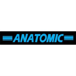 Anatomic-Jan Ritzer