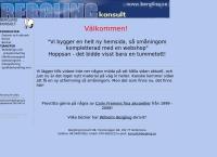 Bergling Konsult Hb