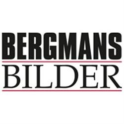 Bergmans Bilder