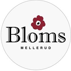 Bloms