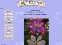Cedergren & Co Plantskola
