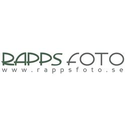 Rapps Foto