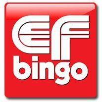 Eskilstuna Föreningsbingo