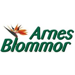 Arnes Blommor