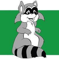 Racoon Miljöfilter AB