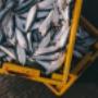 # 3