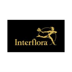 Interflora Strömsund