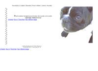 Lindebo Hundpensionat