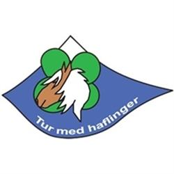 Tur med Haflinger
