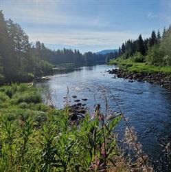 Färsåns Fritid & Fiskecamp