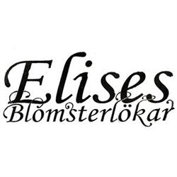 Elises Blomsterlökar
