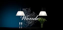 WONDER AB