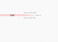 DNS gruppen AB