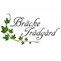 Bräcke Handelsträdgård AB