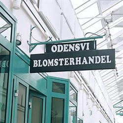Odensvi Blommor - Blommor Västerås