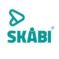 Skåne Bilinredningar AB