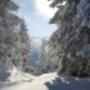 # 3