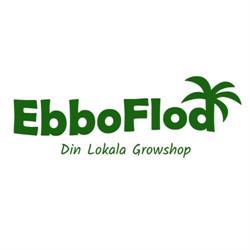 Ebboflod