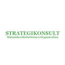 Strategikonsult Mats Haglund - Handledning & Terapeut Rättvik