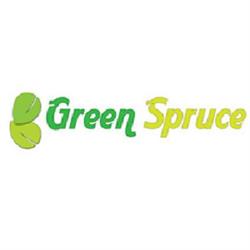 Green Spruce