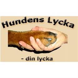 Hundens Lycka