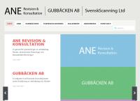Ane Revision & Konsultation, Ab