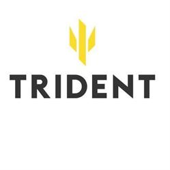 Trident Trading AB