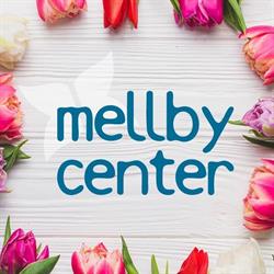 Centrumledning Mellby Center