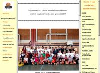 Dundret Basket