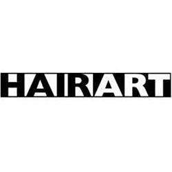 Hair Art