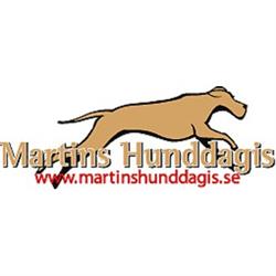 Martins Hunddagis
