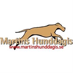 Martins Hunddagis