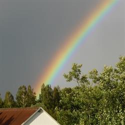 Nybblekyrkans Församling Vintrosa