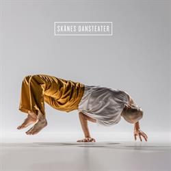 Skånes Dansteater