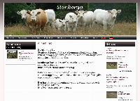 Stenbergabutiken