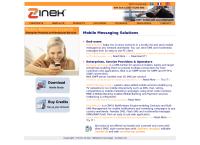 Webbsida från Zinek Consulting
