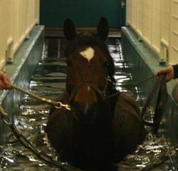 Ale Häst Spa