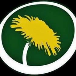 Miljöpartiet