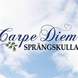 Carpe Diem