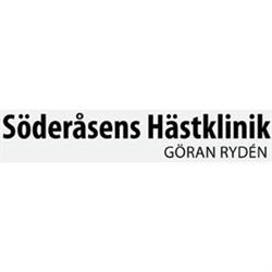 Söderåsens Hästklinik, Veterinär Göran Rydén